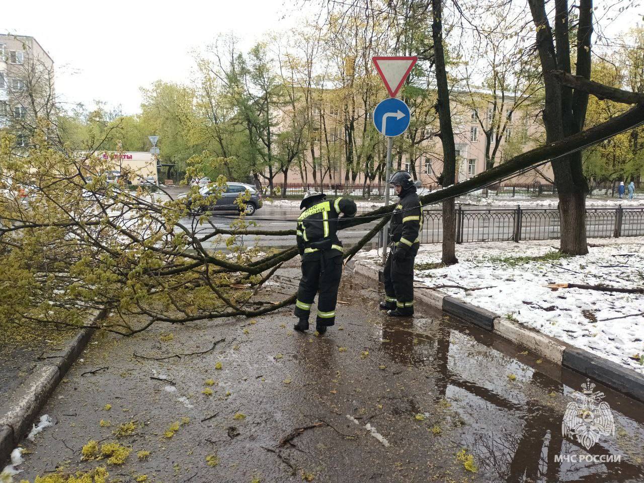 Тысячи жителей Подмосковья остались без света из-за аномального снегопада и падения деревьев