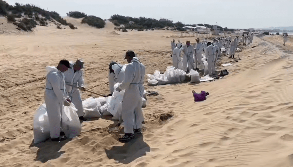 Из Ростовской области вывезли 1800 тонн мазутного песка, завезённого с Кубани