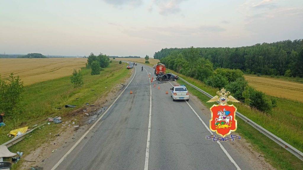 Глава СК взял на контроль расследование ДТП под Зарайском, унесшее жизнь ребенка