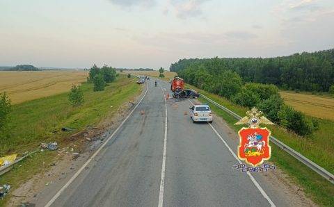 Глава СК взял на контроль расследование ДТП под Зарайском, унесшее жизнь ребенка