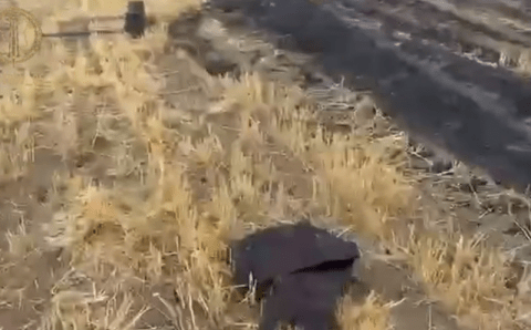 Две ночи подряд ВСУ пытались атаковать Чечню