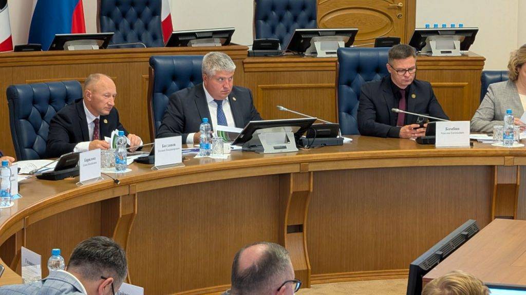 Дронов рассказал о трёх новых инвестиционных проектах в Новгородчине