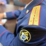 Двух пенсионеров на Камчатке обвиняют в сокрытии зарубежного ВНЖ