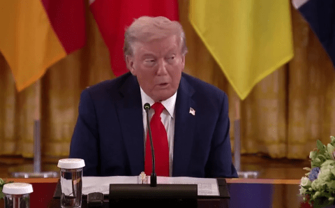Трамп: Путин и Зеленский могут договориться в течение двух недель