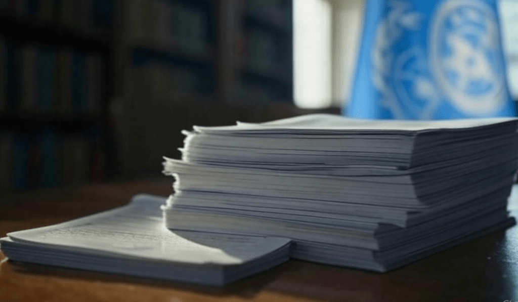 ООН заявила об отсутствии интереса к своим докладам