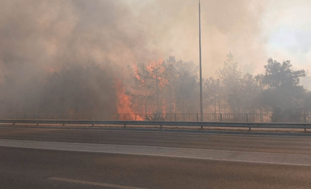 Развожаев сообщил, когда откроют движение на Камышовом шоссе после пожара