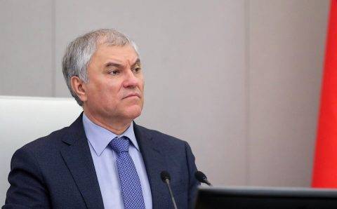 Володин призвал не брать на госслужбу вернувшихся релокантов