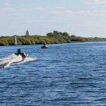 Беспилотник впервые доставил информационные материалы по воде в Новгородчине