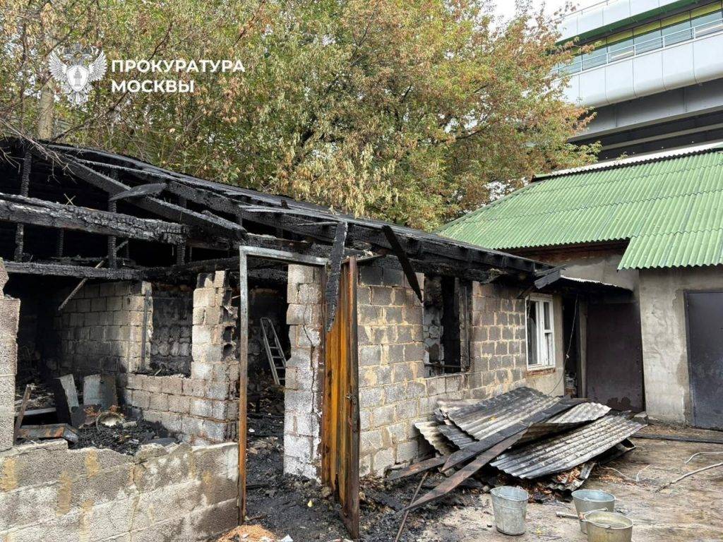 Сразу 13 собак заживо сгорели в московском приюте