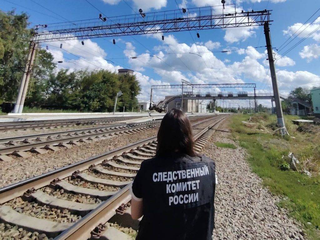 В Подмосковье трое безбилетников с ножом напали на контролера в электричке