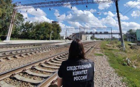 В Подмосковье трое безбилетников с ножом напали на контролера в электричке