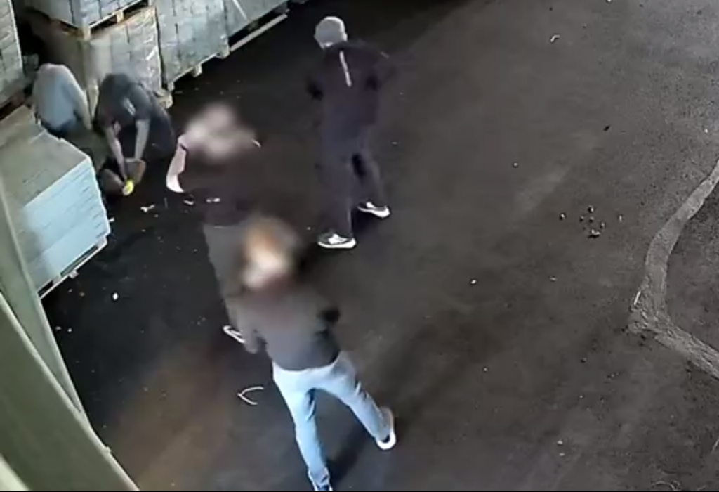 Иностранный «наркодилер-оптовик» получил 8 лет колонии строгого режима