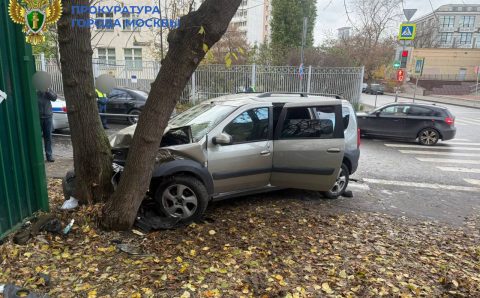 Московский подросток перепутал педали газа и тормоза и врезался в дерево Московский подросток перепутал педали газа и тормоза и врезался в дерево