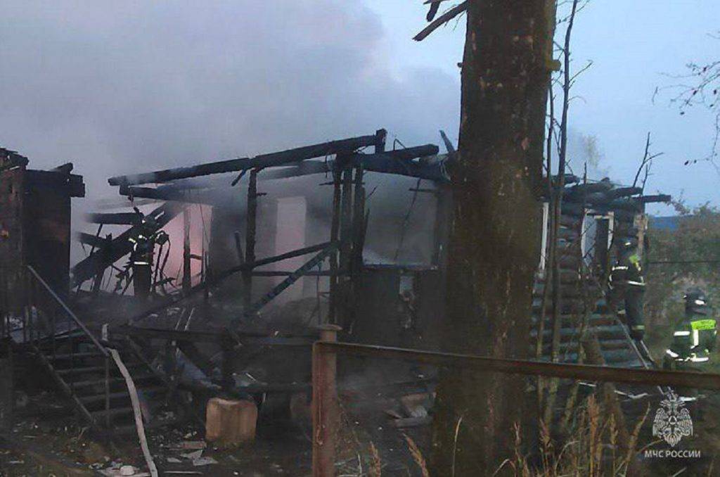 Мать и трое детей погибли при пожаре в Ленобласти