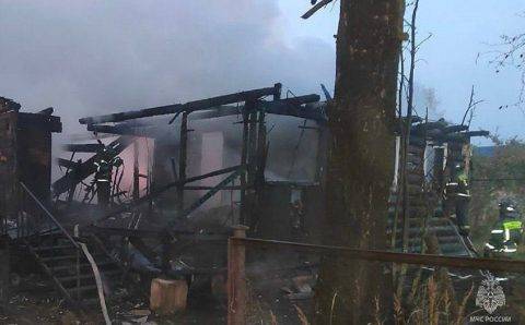 Мать и трое детей погибли при пожаре в Ленобласти