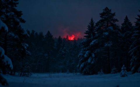 Два человека погибли при атаке укробеспилотника в Самарской области
