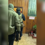 В Ленобласти раскрыто мошенничество на 40 млн с компенсационным лесовосстановлением