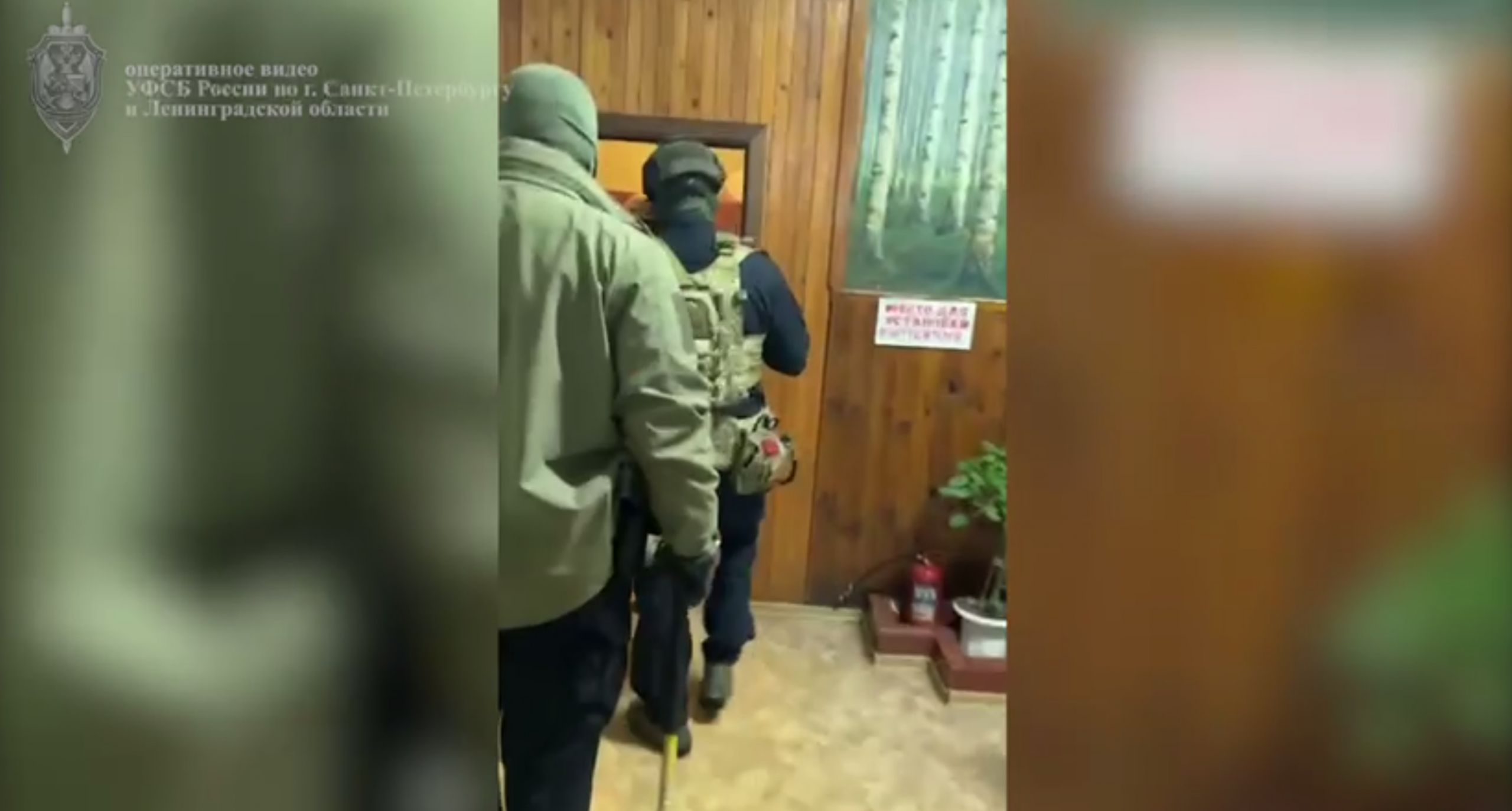 В Ленобласти раскрыто мошенничество на 40 млн с компенсационным лесовосстановлением