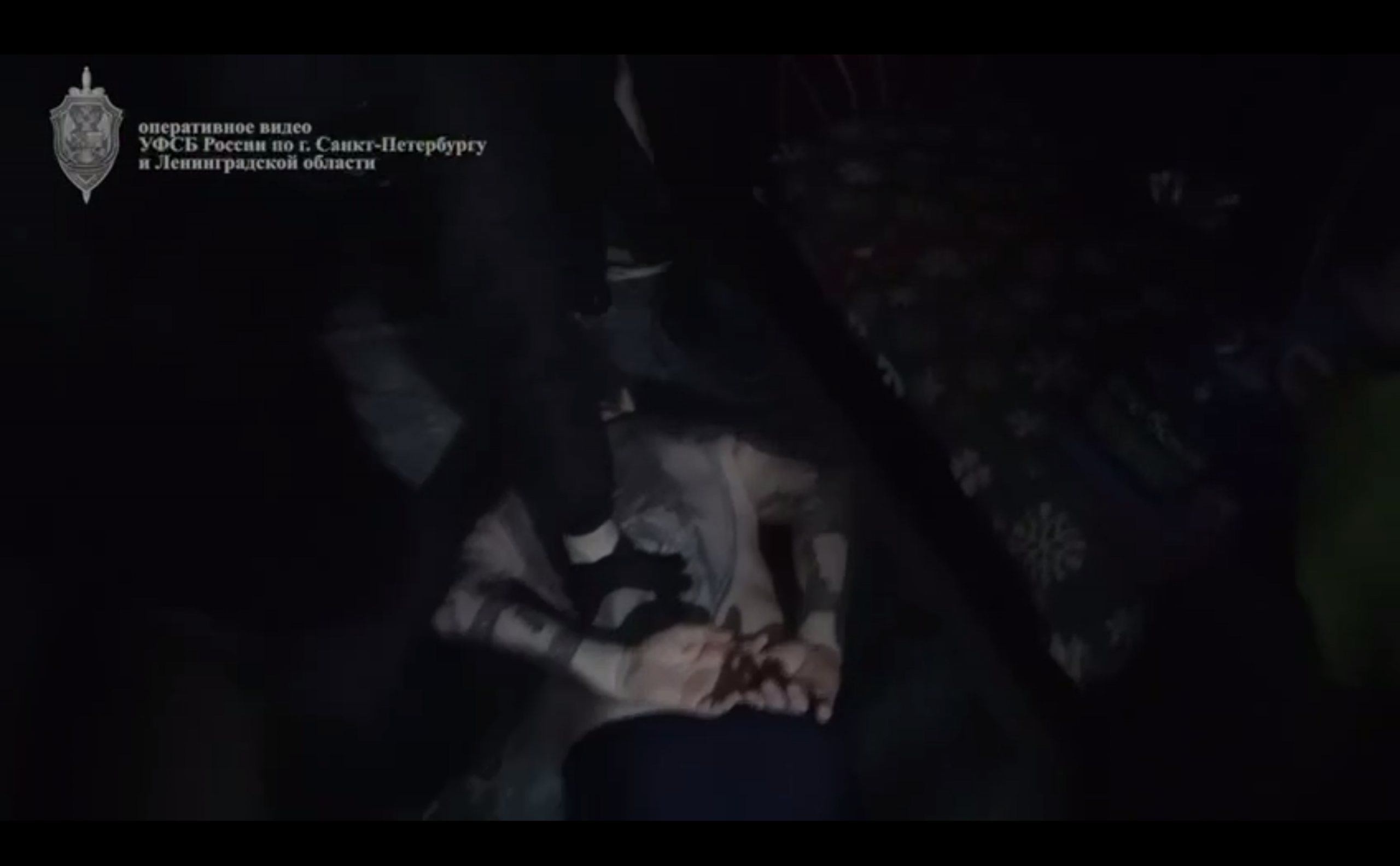 В Петербурге задержали «ликвидаторов» несанкционированных свалок