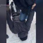 Петербургские фсбшники задержали мужчину, пытавшегося купить права в ГАИ