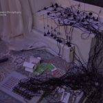 В Петербурге обезвредили мошенническую колл-станцию и нарколабораторию