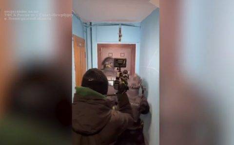 Петербургские ФСБшники задержали «коллег» с фальшивыми удостоверениями