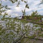 В конце мая петербургские силовики проведут учения на Финском заливе
