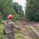 Под контролем Дронова в Новгородской области обновили 77 километров ЛЭП