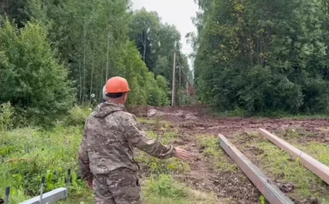 Под контролем Дронова в Новгородской области обновили 77 километров ЛЭП