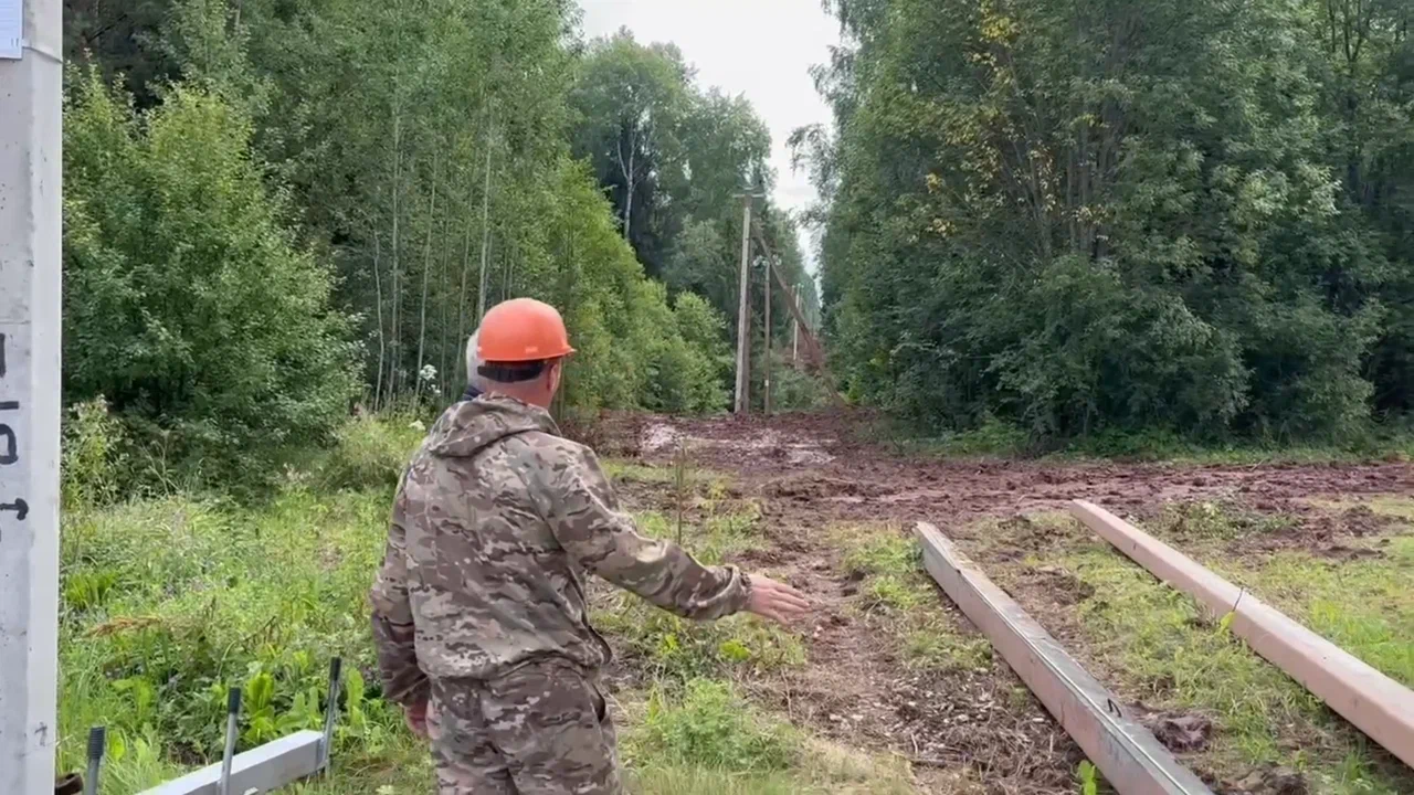 Под контролем Дронова в Новгородской области обновили 77 километров ЛЭП